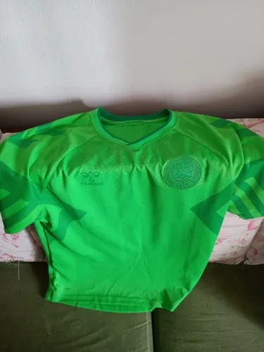 DINAMARCA CAMISA OFICIAL COPA 2022 VERDE.