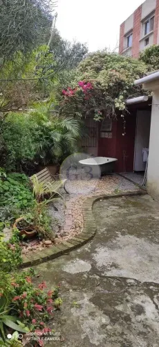 Locação parte térrea