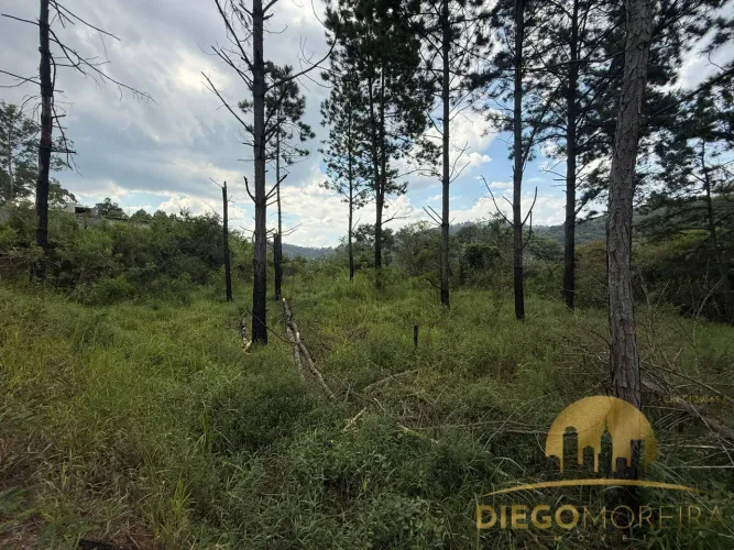 Terreno à venda em Terra Preta  Vista para a natureza