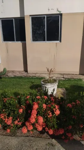 Aluga-se apartamento na Santa Amélia