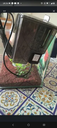AQUÁRIO