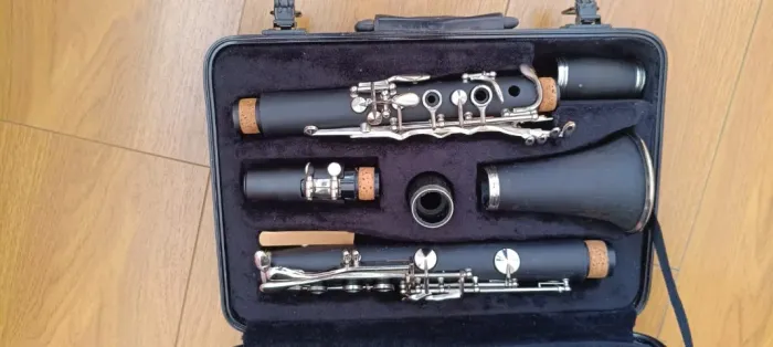 Clarinete Shelter 17 Chaves com Estojo Rígido - Conservado