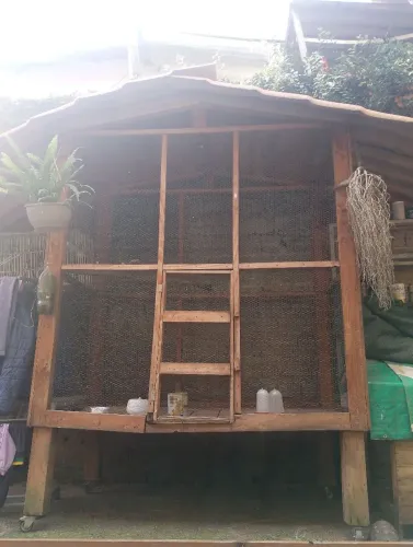 Vendo Viveiro com Telhado!
