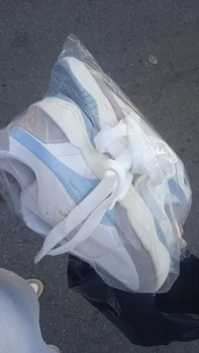 Tenis