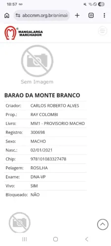 Manga larga filho do fator