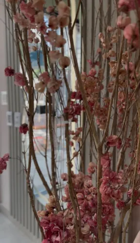 Planta seca rosa para decoração