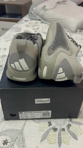 Antony edwards 1 low
