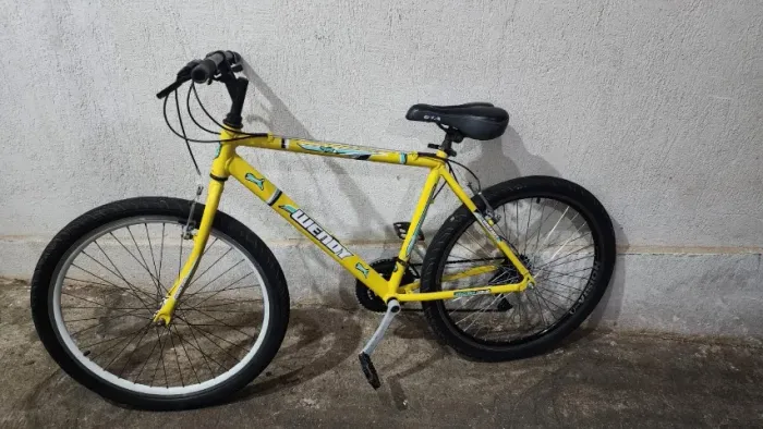 Bicicleta