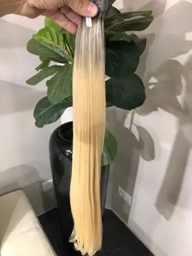 Loiros brasileiros de 75 cm Lindos!