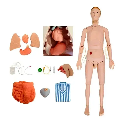 Manequim Bissexual com Órgãos Internos, Treino de Enfermagem TZJ-0502A