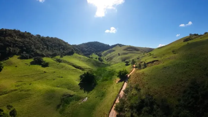 FAZENDA COM 217,8 HECTARES 