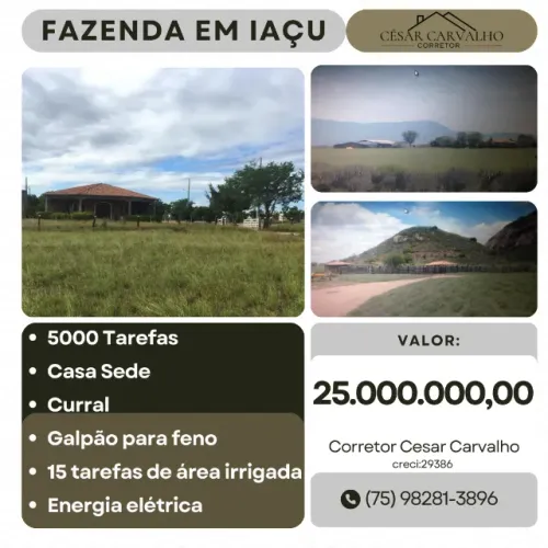 FAZENDA EM IAÇU - 5000 TAREFAS
