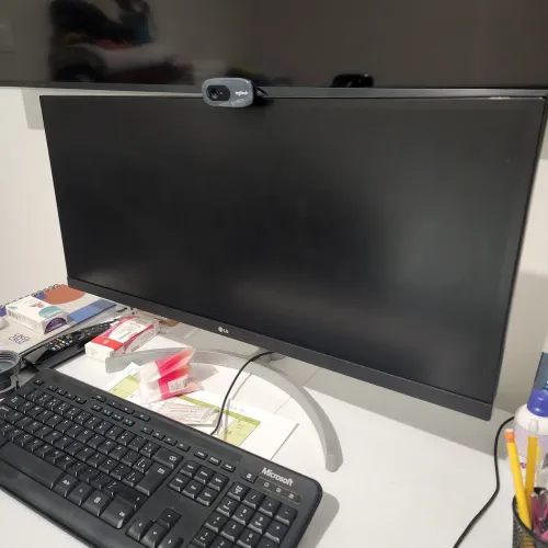 Monitor LG 29 pol ultrawide (linha verde na tela)
