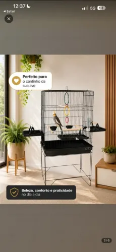 Viveiro gaiola calopsita