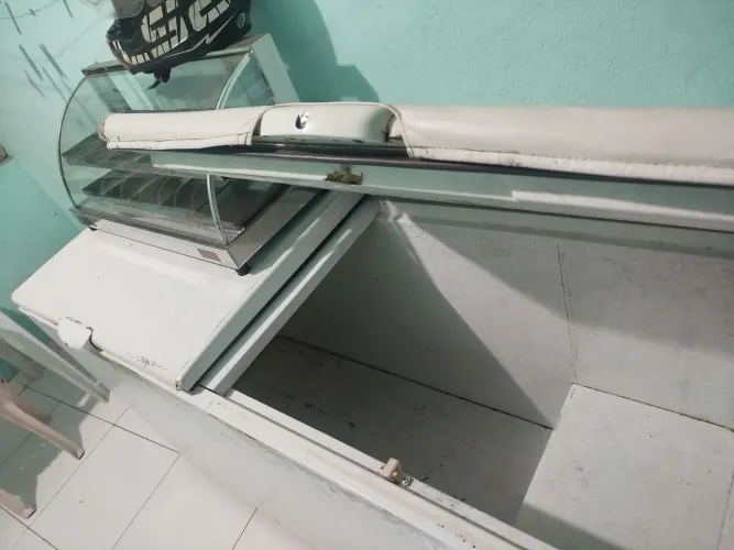 Freezer horizontal (manutenção)