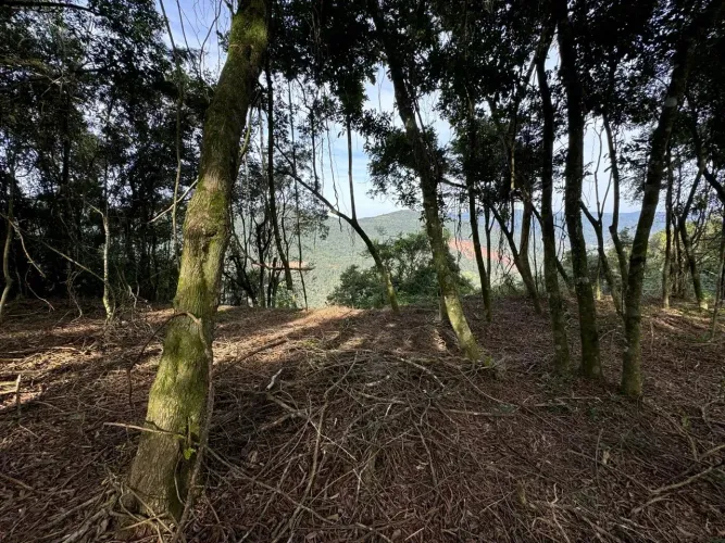 Imóvel para venda com 30000 metros quadrados em Vila Olinda - Nova Petrópolis - RS