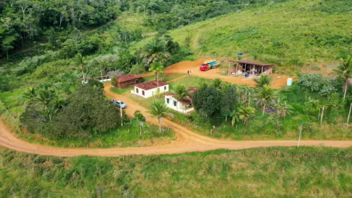 Fazenda em Tremembé-BA (150 Hectares) Localização privilegiada!