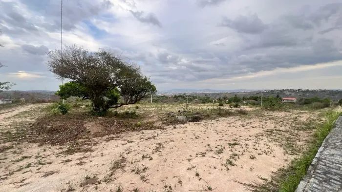 Mini granja