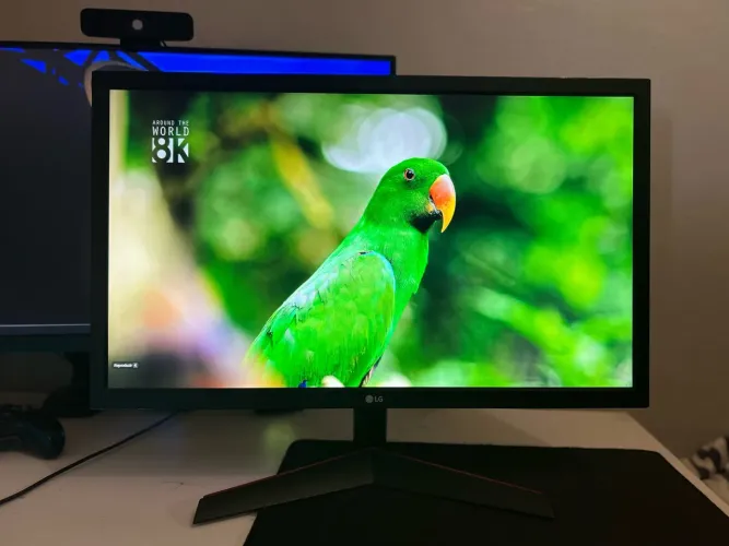 Monitor Gamer LG 24? Full HD 144Hz 1ms - LG 24GL600F-B | Estado de Novo