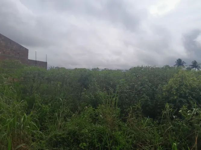 Terreno de lotes regulamentado.