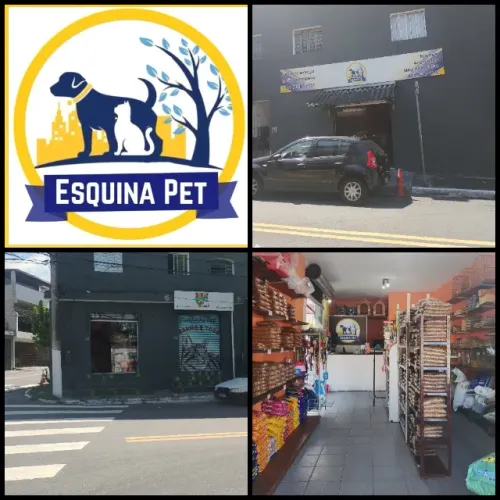 Casa de Ração "Pet shop"