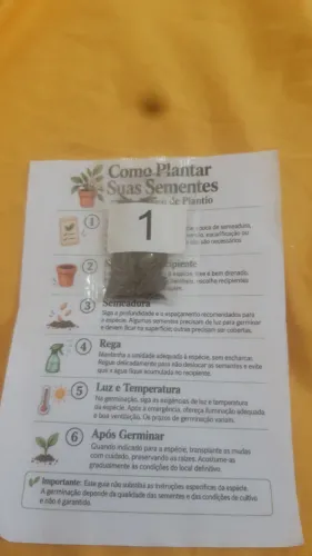 100 sementes de Cosmos