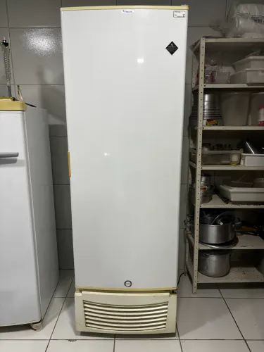 Freezer Geladeira Vertical 569 Litros Fricon 220v Porta Cega