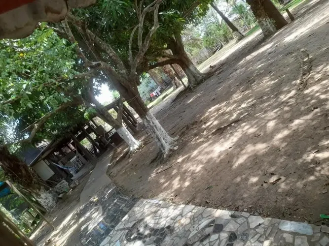 oportunidade única