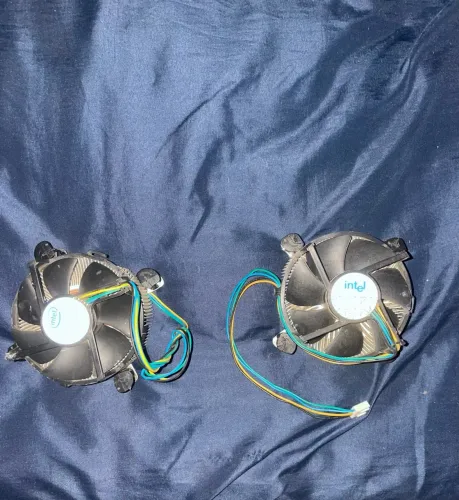 Cooler