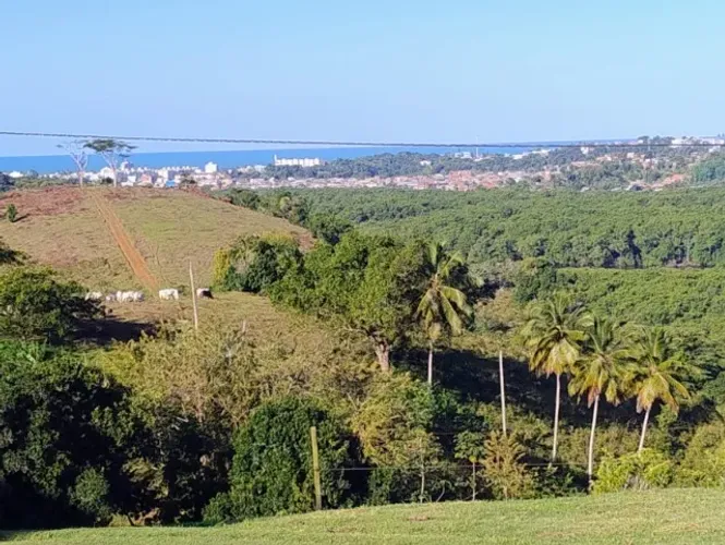 FAZENDA NO SUL DA BAHIA, PARA EMPREENDIMENTO IMOBILIÁRIO, TURÍSTICO, HOTELEIRO!