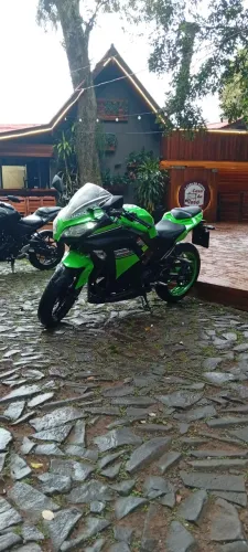 Ninja 300 2015