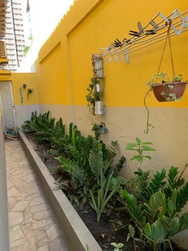 Alugo casa em Jacarecica