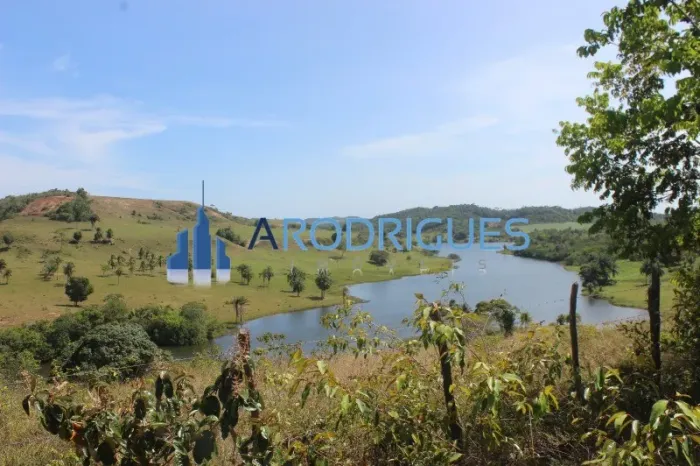 Fazenda à Venda em Monte Gordo 201.000 mil m² com 14 Cabeças de Gado e Mata Preservada Opo