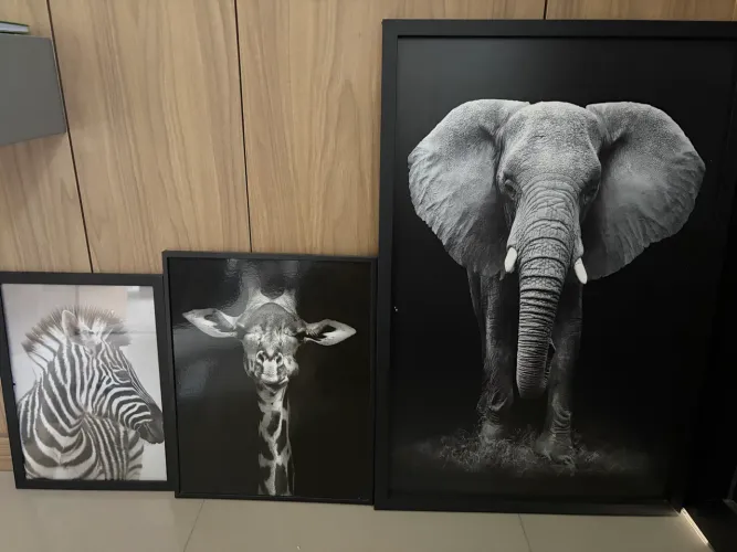 Trio de 3 quadros decorativos