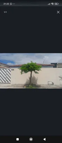 Casa p alugar no cuia