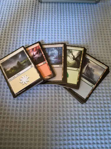 100 terrenos basicos Magic (20 de cada basic land MTG)