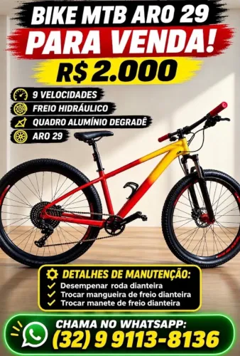 Bicicleta aro 29