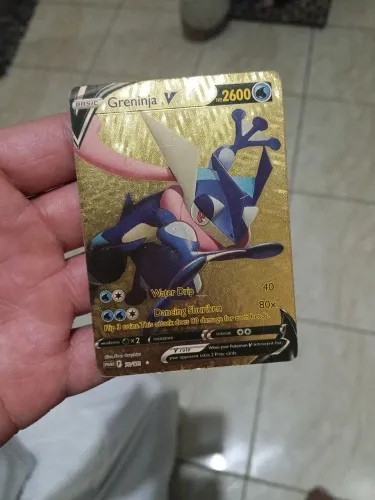 Colecionador de card pokémon 