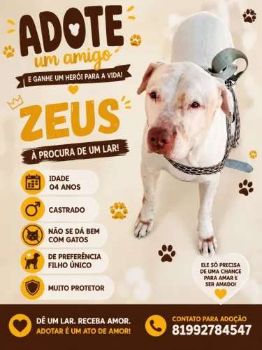 Doa -se Pitbull