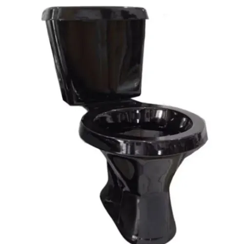Vaso sanitário completo