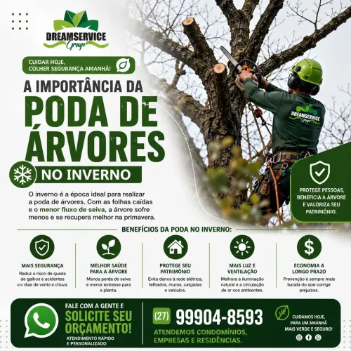 poda de árvores, limpeza de terreno, lote
