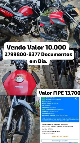 Factor 150 2019/2020