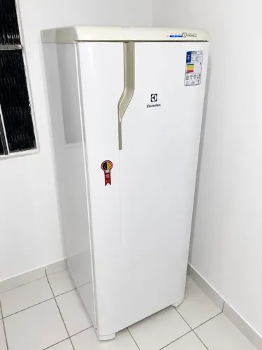 Geladeira Electrolux Free free painel BLUE touch ENTREGO <br>Uma Porta Branca (RFE39)