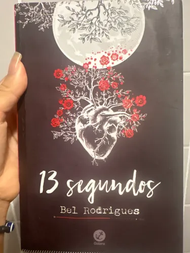LIVRO 13 segundos
