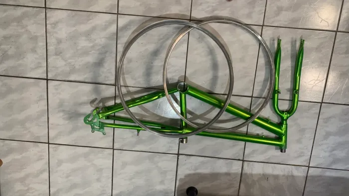 Quadro e garfo mais duas folhas de aro 24 sem raio