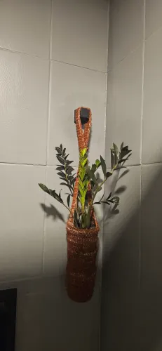 Vaso pendente com zamiocuca black para decorar.