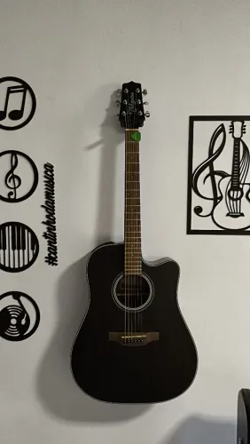 Takamine GD14