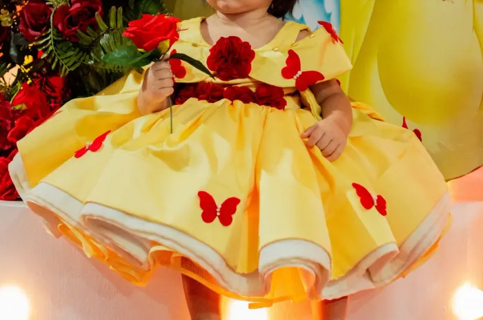Vestido Bela e a fera