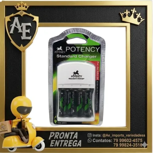 Pilhas recarregáveis + carregador