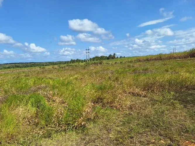 Sítio com 16,50 hectares, em Santa Rita, muita água, rio perene, terra muito boa